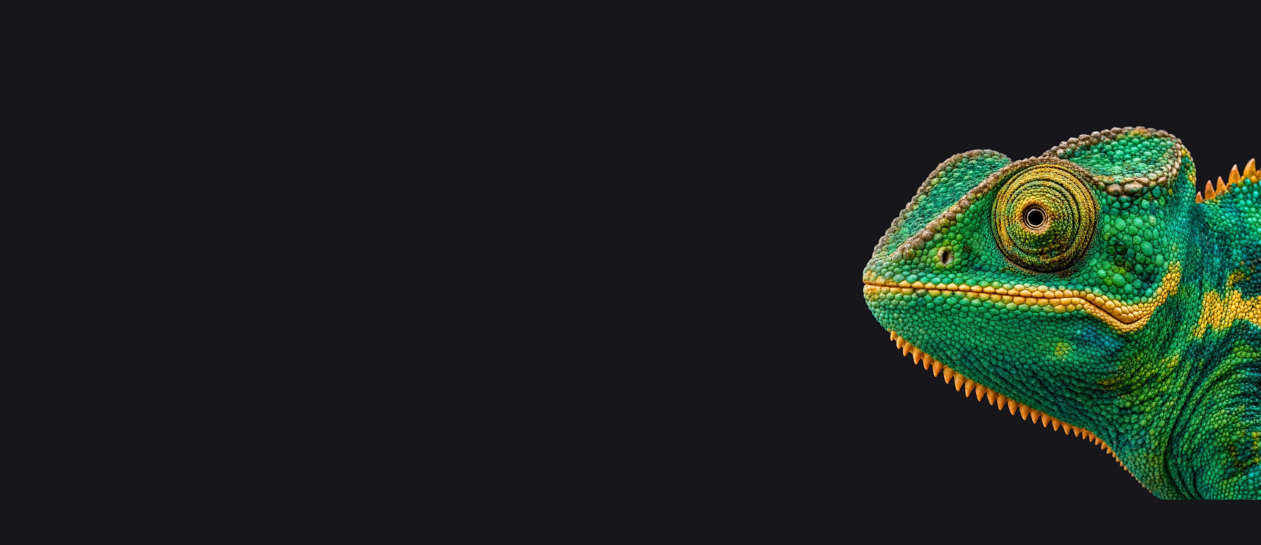 Diseño de páginas web profesionales en Colombia — Alejandro Verjel